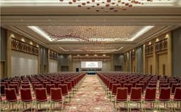 Feathers Photo Feathers Photo