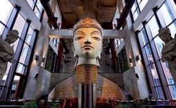 Shiro Photo Shiro Photo