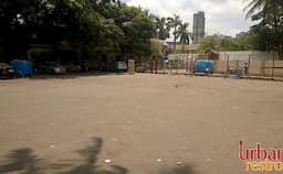 St. Francis of Assisi Photo St. Francis of Assisi Photo