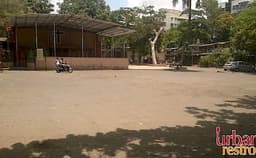 St. Francis of Assisi Photo St. Francis of Assisi Photo