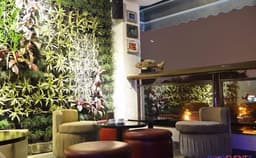 The Aquarium Lounge Photo The Aquarium Lounge Photo