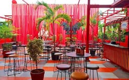 The Flying Trapeze Photo The Flying Trapeze Photo