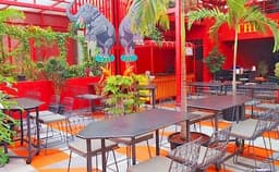 The Flying Trapeze Photo The Flying Trapeze Photo