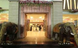 The Golden Treat Photo The Golden Treat Photo