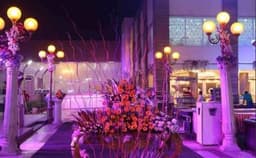 The Golden Treat Photo The Golden Treat Photo