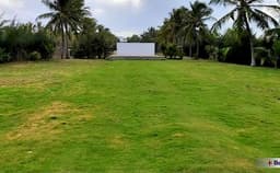 The Grand Beach Resort Photo The Grand Beach Resort Photo