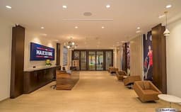 The Majesstine Sports Photo The Majesstine Sports Photo