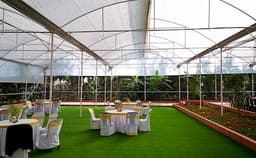 The Peacock Grove Photo The Peacock Grove Photo