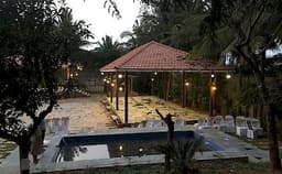 The Peacock Grove Photo The Peacock Grove Photo