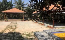 The Peacock Grove Photo The Peacock Grove Photo