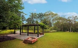 Tranquil Woods Photo Tranquil Woods Photo