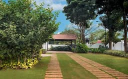 Tranquil Woods Photo Tranquil Woods Photo