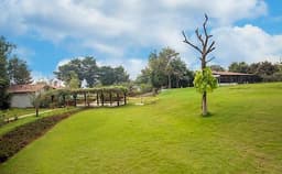 Tranquil Woods Photo Tranquil Woods Photo