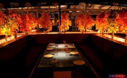 Trumpet Sky Lounge Photo Trumpet Sky Lounge Photo