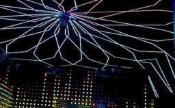 Tsubaki Royal Oak  Photo Tsubaki Royal Oak  Photo