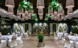 Tunga International Photo Tunga International Photo