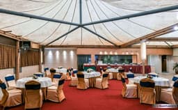 Tunga Regale Photo Tunga Regale Photo