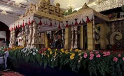 White Feather Photo White Feather Photo