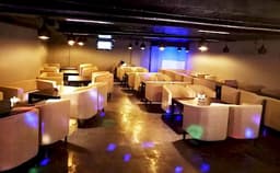 White Horse Pulse Restro Bar Photo White Horse Pulse Restro Bar Photo