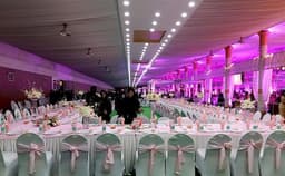 White Petals Photo White Petals Photo