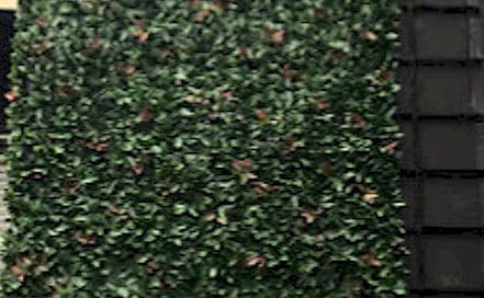 Glass House The Lounge Malad Photo Glass House The Lounge Malad Lounge in Malad